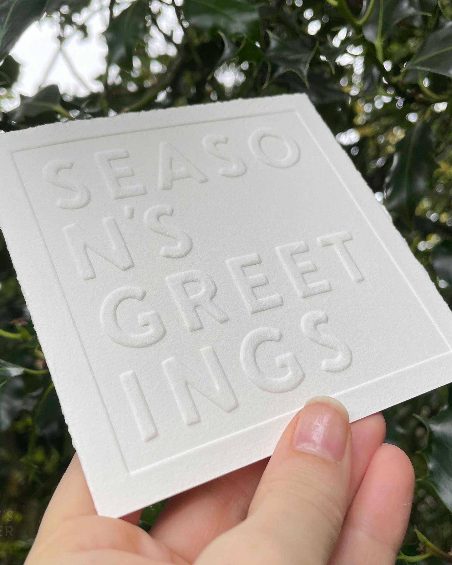 Christmas Card | Season's Greetings