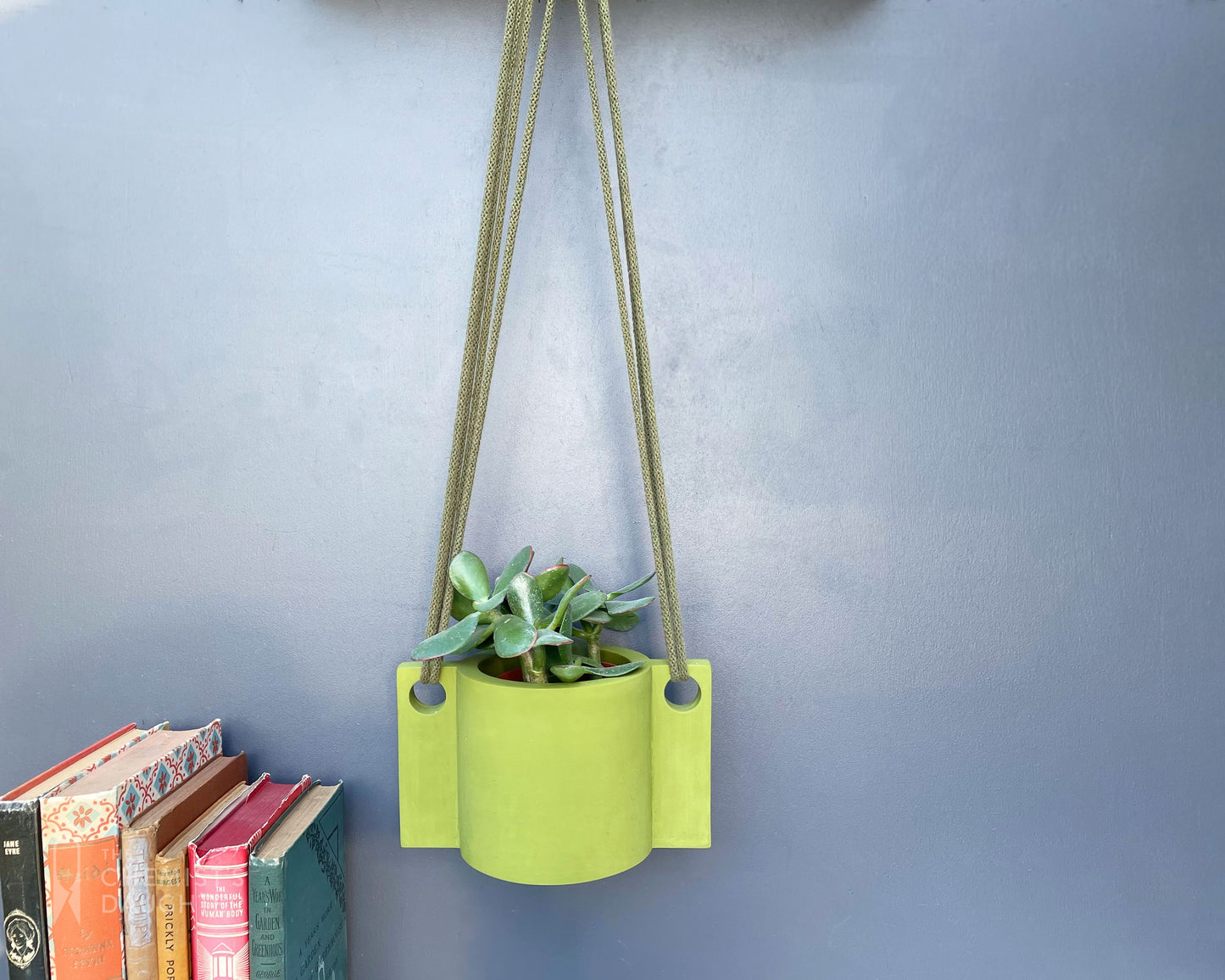 Hanging plant pot | Chore