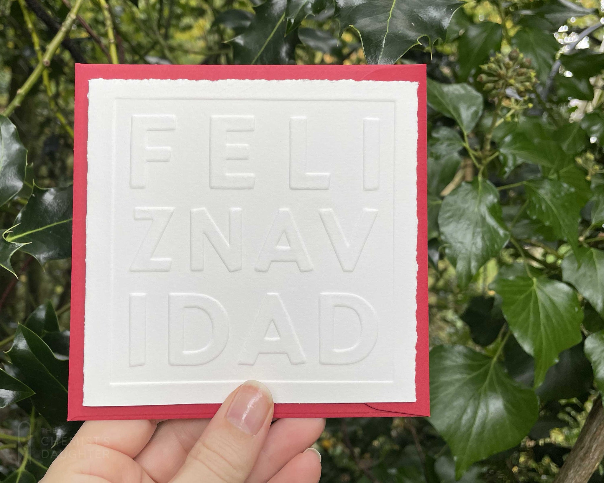 Christmas Card | Feliz Navidad