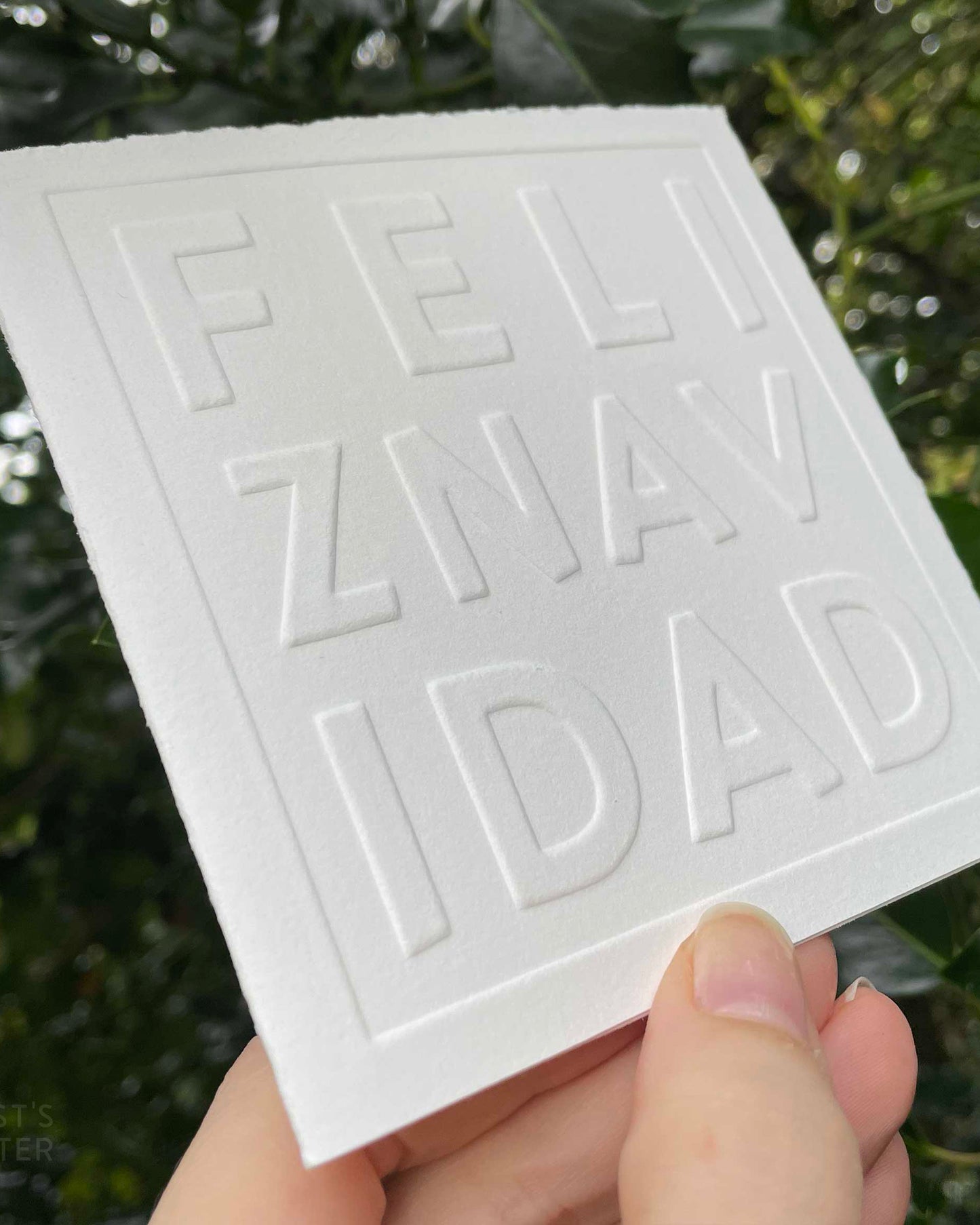 Christmas Card | Feliz Navidad