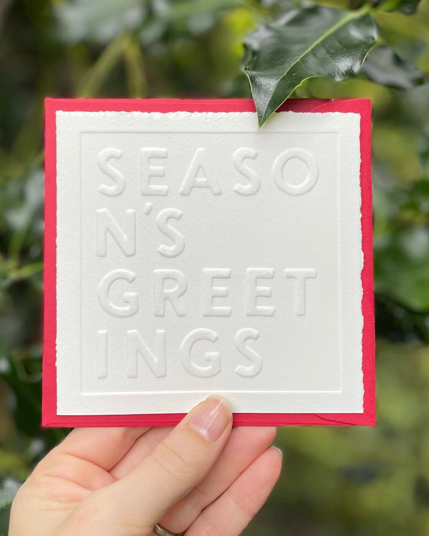 Christmas Card | Season's Greetings