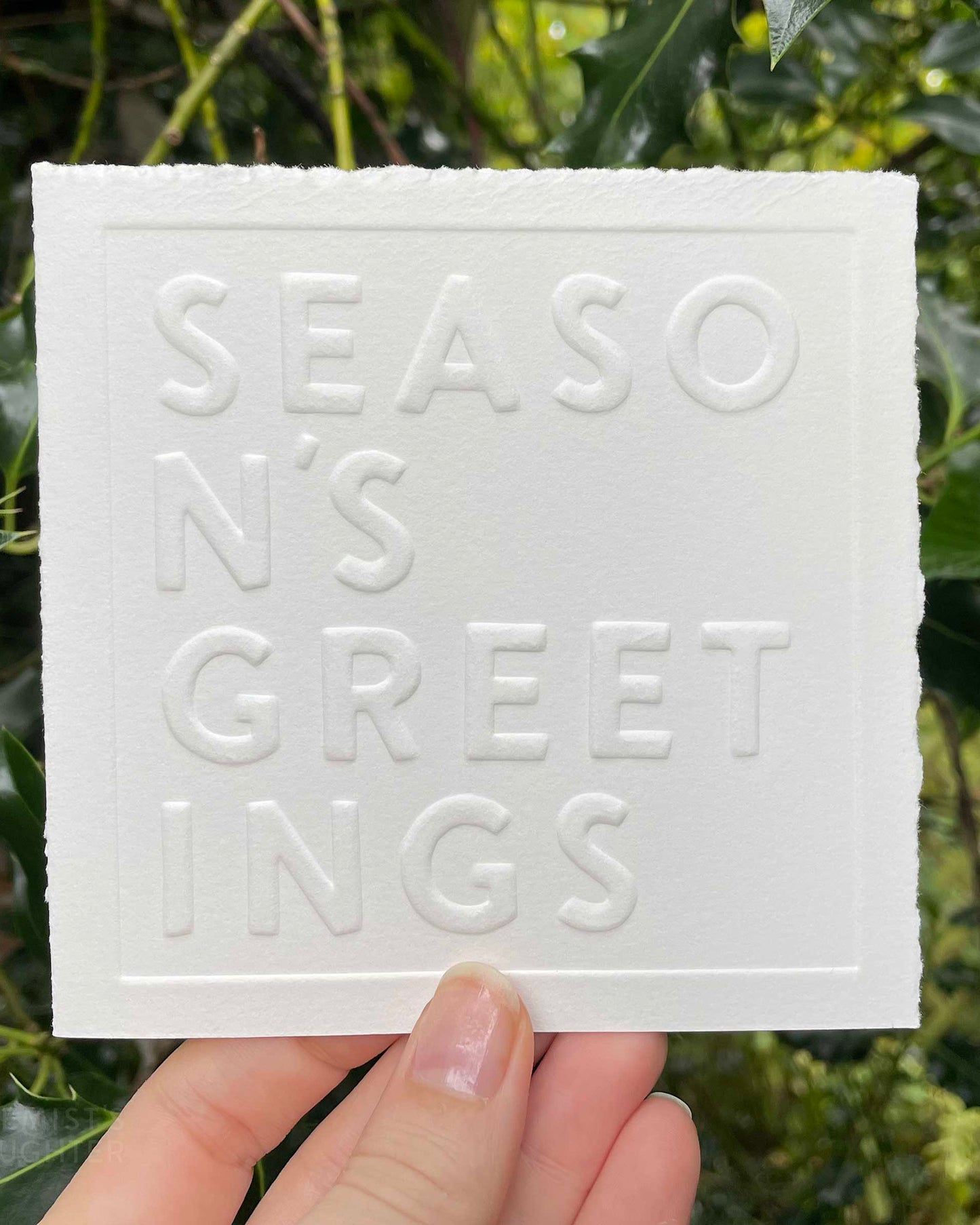 Christmas Card | Season's Greetings