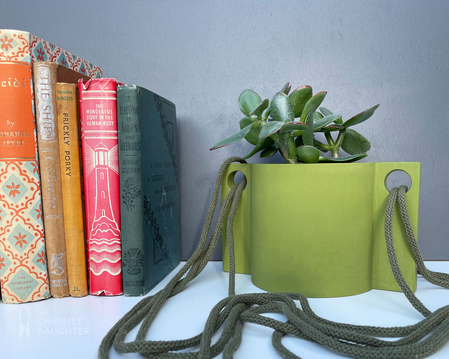 Hanging plant pot | Chore