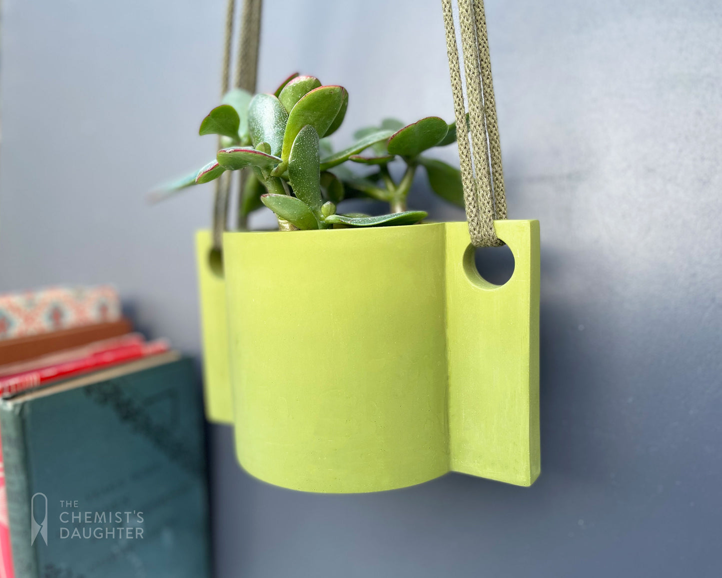 Hanging plant pot | Chore