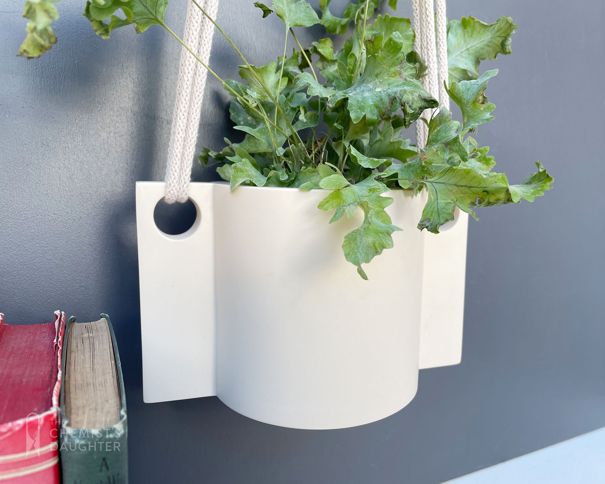 Hanging plant pot | Plaster