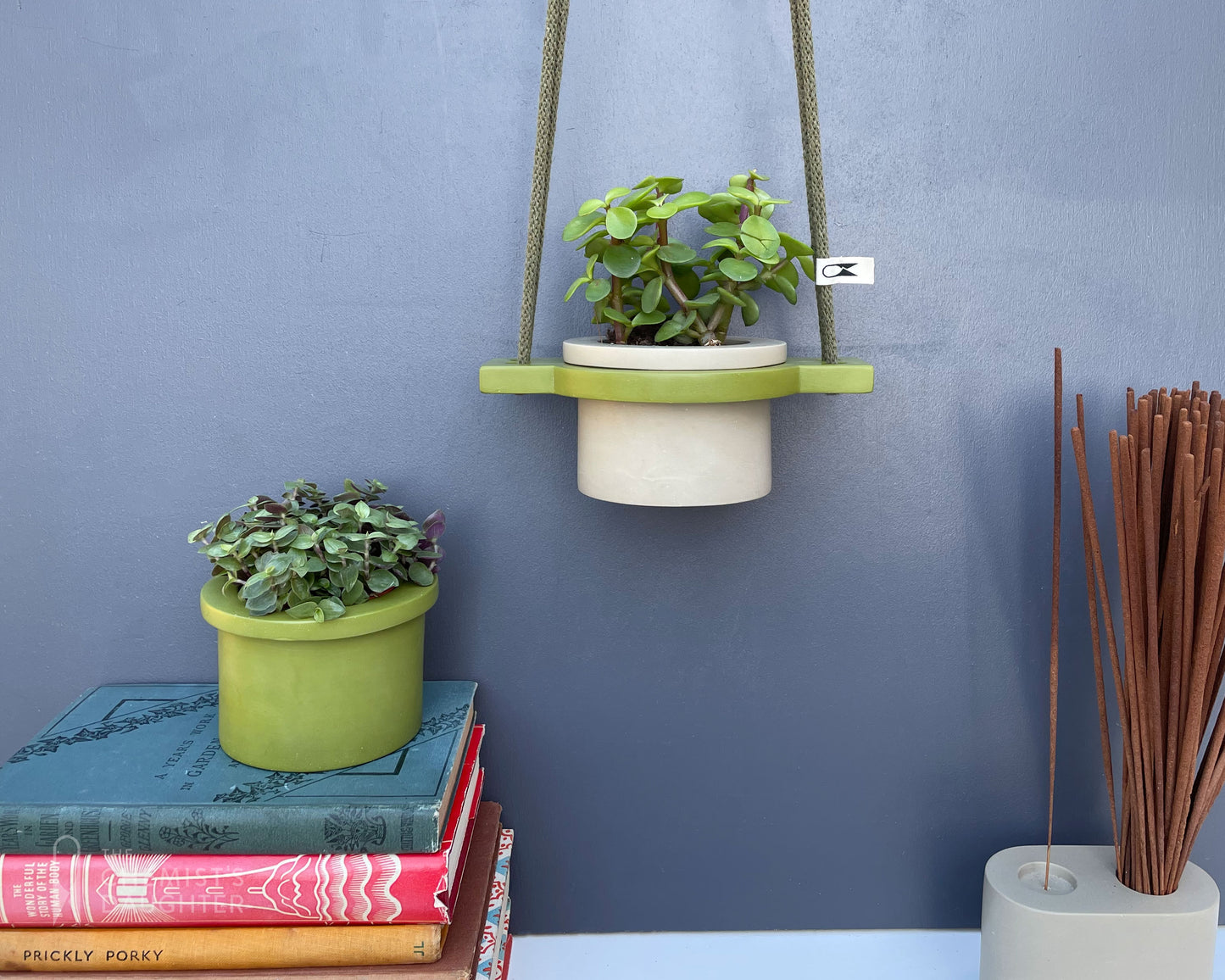Mini Hanging plant pot - various colours