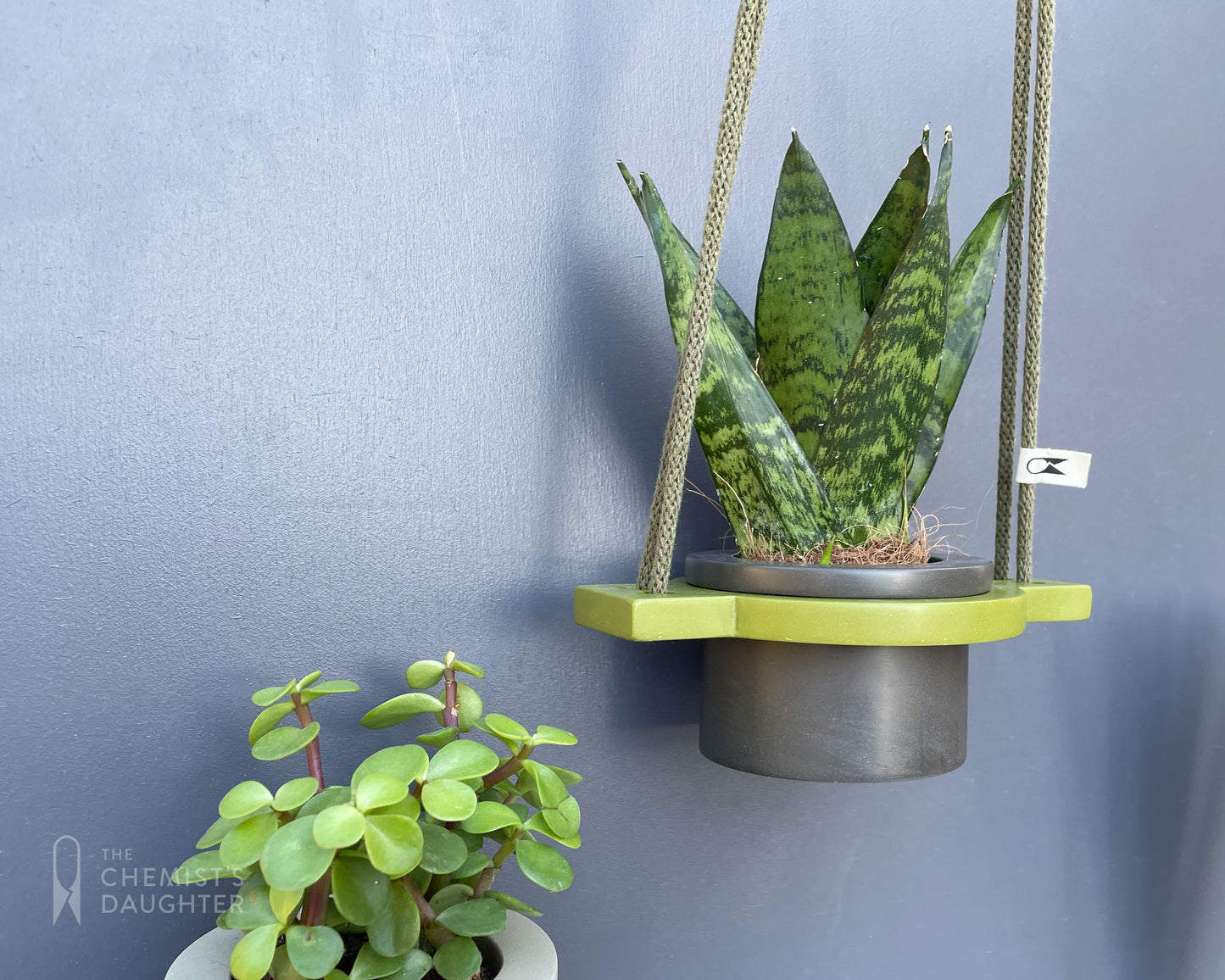 Mini Hanging plant pot - various colours