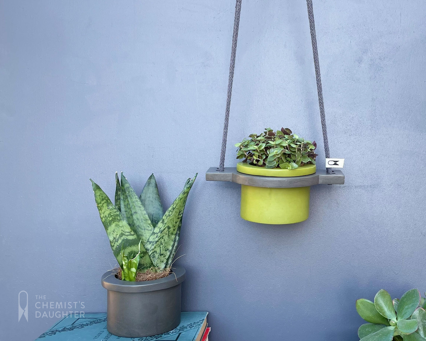 Mini Hanging plant pot - various colours