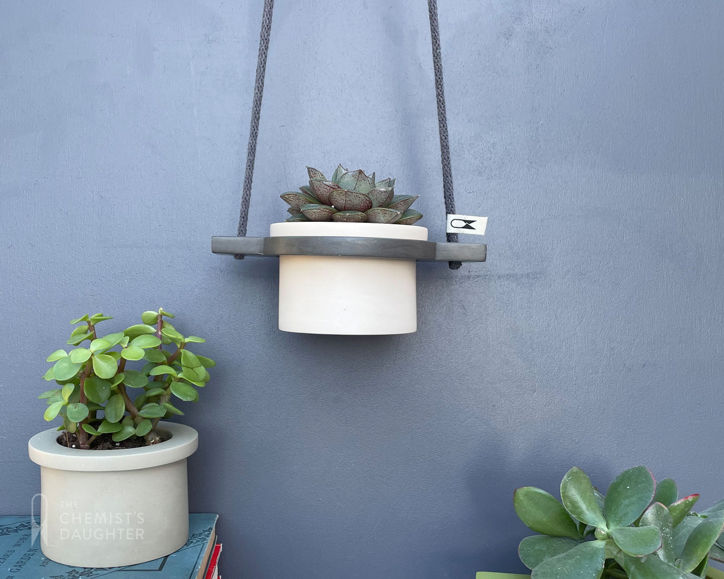 Mini Hanging plant pot - various colours