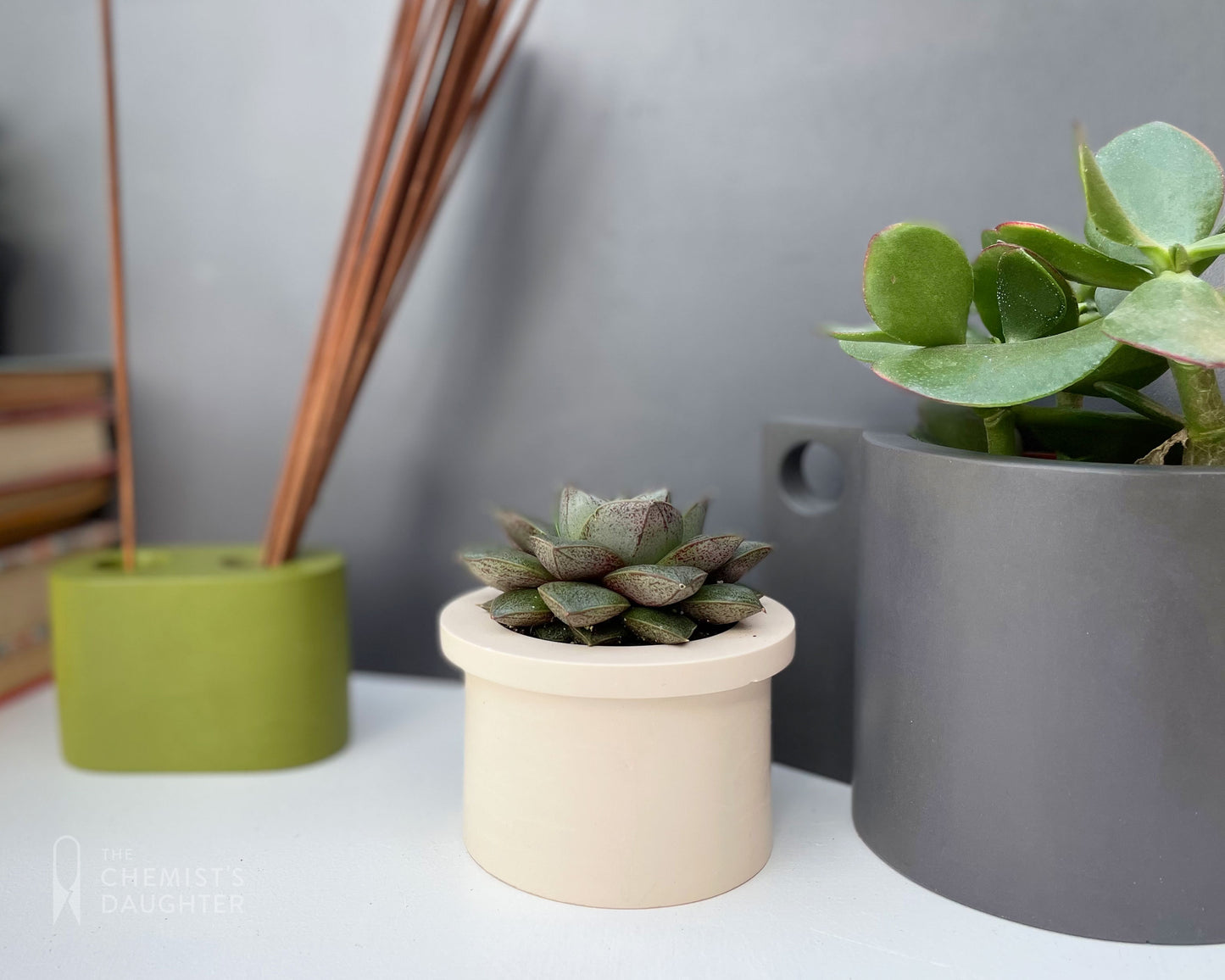 Mini Hanging plant pot - various colours