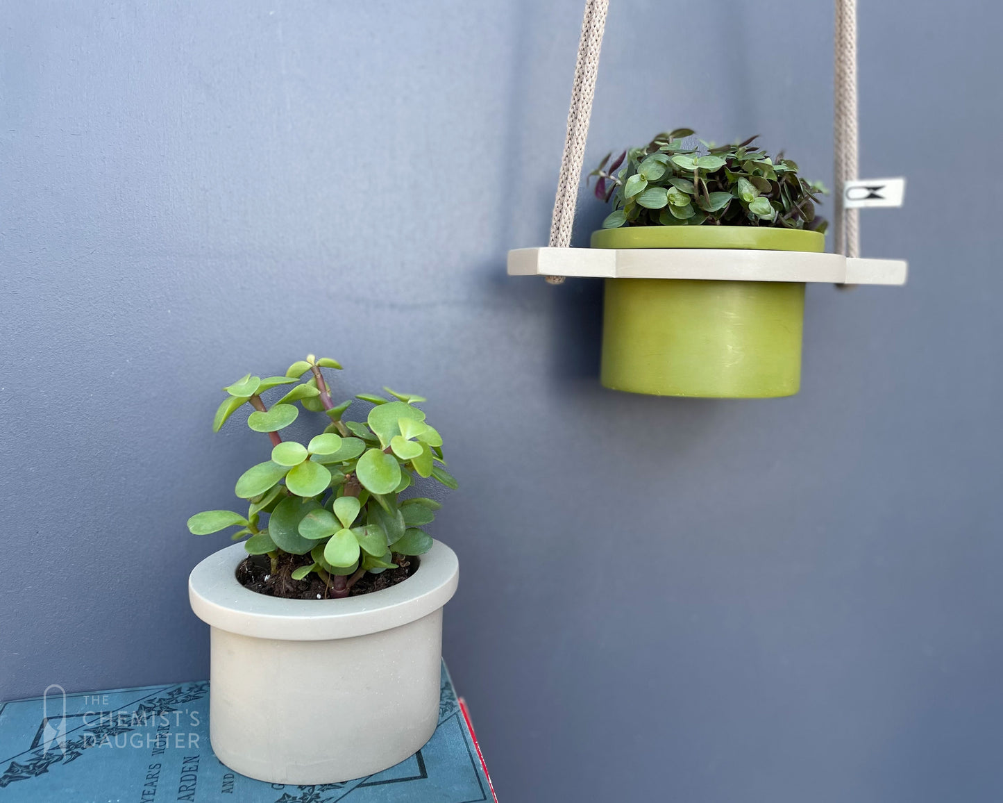 Mini Hanging plant pot - various colours