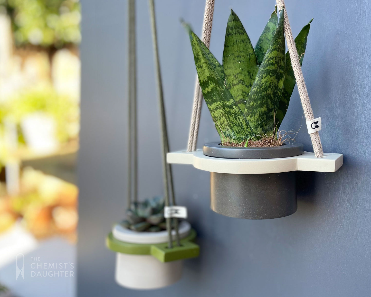 Mini Hanging plant pot - various colours