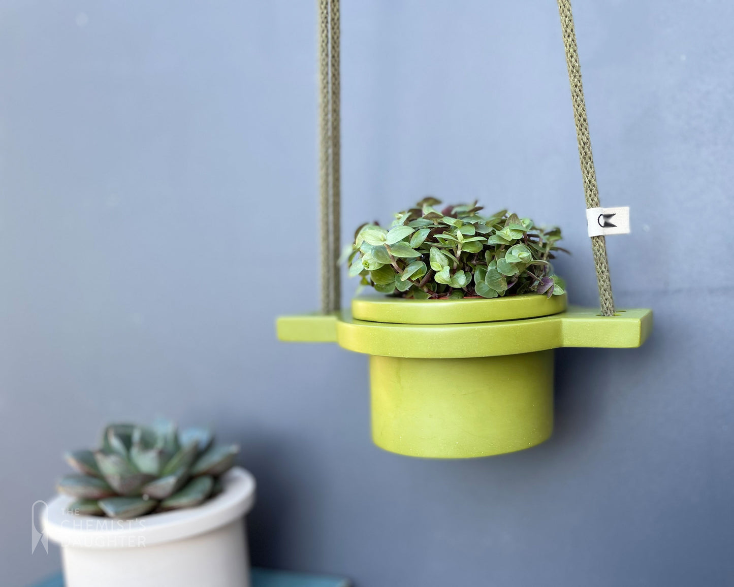 Mini Hanging plant pot - various colours