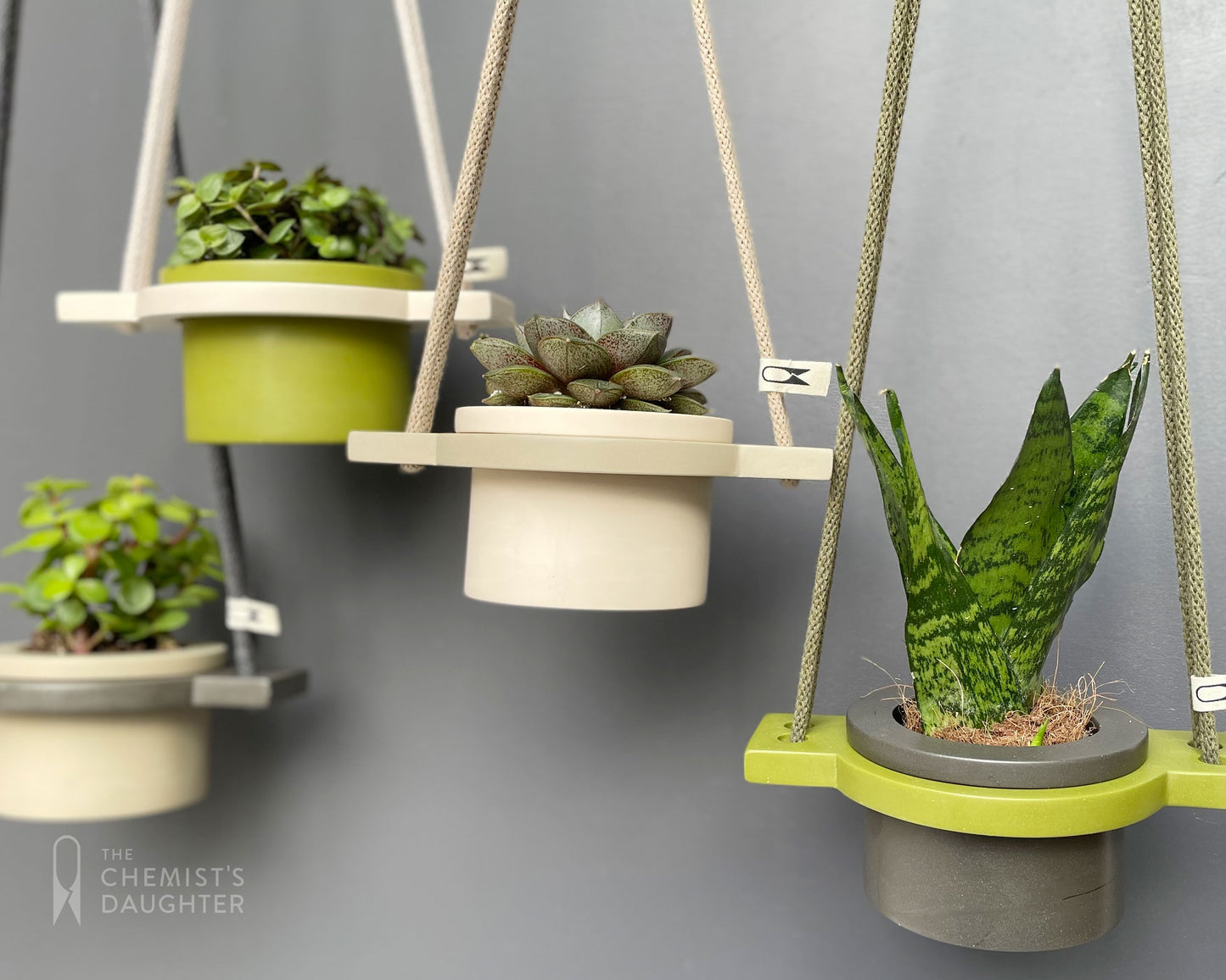 Mini Hanging plant pot - various colours
